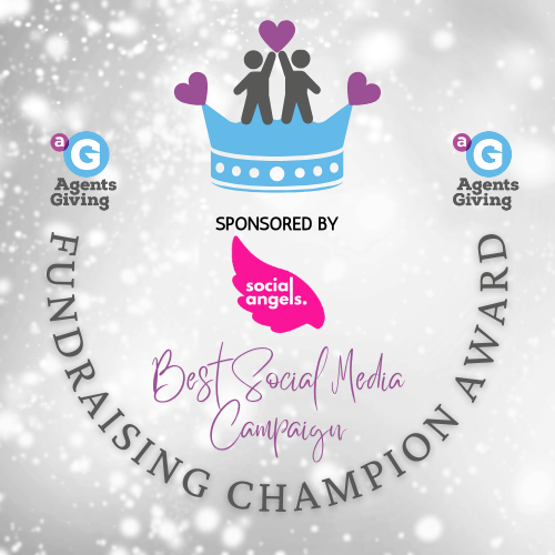 Best Social Media Campaign sponsored by Social Angels