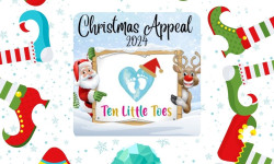 Lawton & Dawe Properties holding an ‘elfing day’